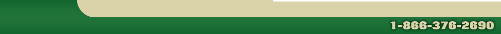 Footer Image
